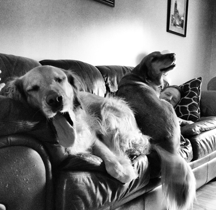 Jake (left) and Cooper (right). Happy Thanksgiving!